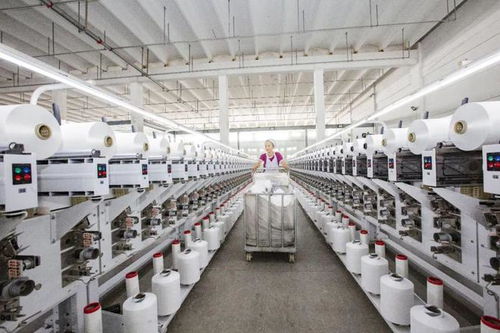 從“織造”“制造”到“智造” 射陽(yáng)擘畫“經(jīng)緯天下”的江蘇科技新藍(lán)圖